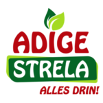Strela Gastro Logo